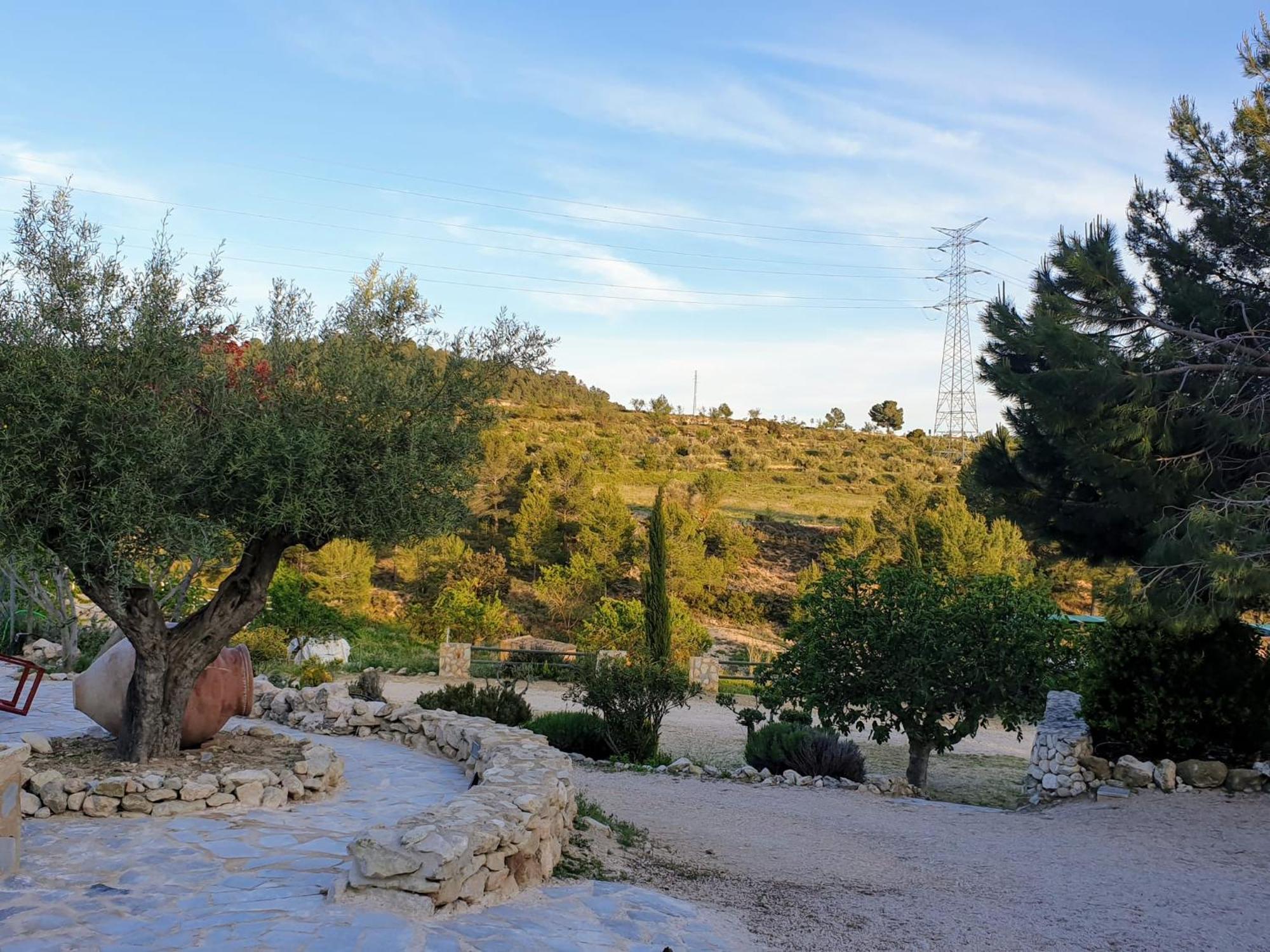 Complejo Rural Las Lomas De Бьяр Экстерьер фото
